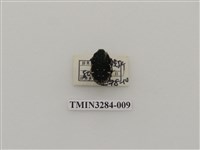 藏品(蘭嶼小綠花金龜)的圖片